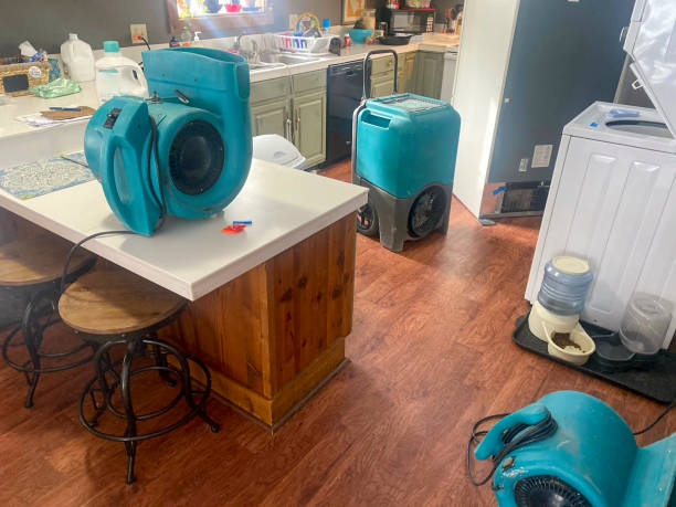 Best Water damage restoration company  in Wells Branch, TX