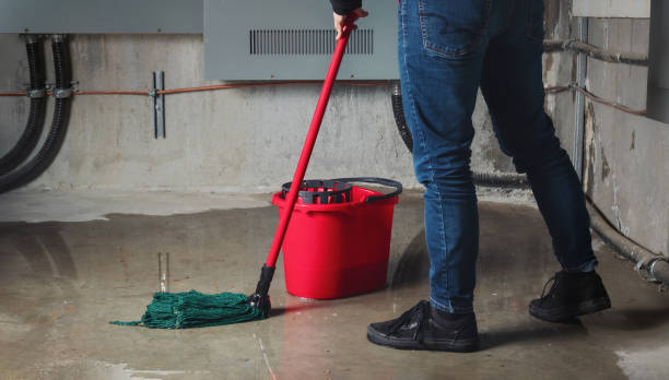 Best Mold removal after water damage  in Wells Branch, TX