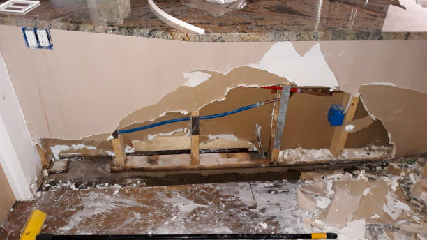 Best Local water damage restoration  in Wells Branch, TX