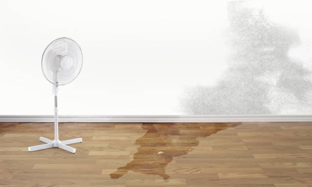 Best 24-hour water damage restoration  in Wells Branch, TX