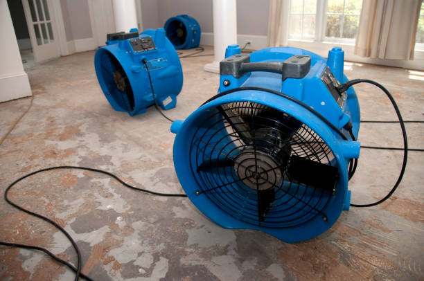 Best Water damage restoration services  in Wells Branch, TX