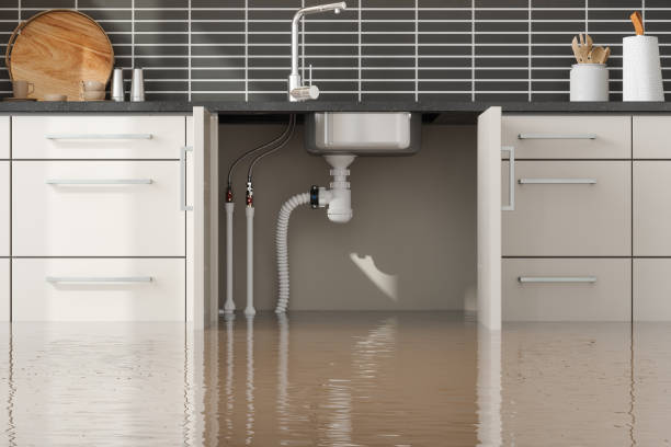 Best Basement water damage restoration  in Wells Branch, TX