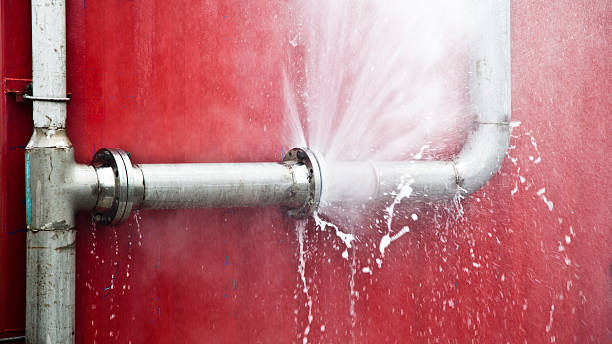 Best Flood restoration services  in Wells Branch, TX